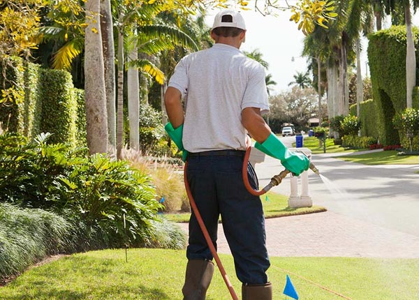 About Alburtis PA Pest Control Pros